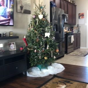 Meet your Posher, Dawn